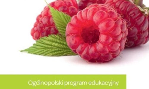 "ABC Zdrowego Żywienia 2016" – broszura informacyjna