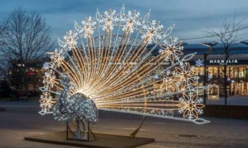 Magnolia Park rozbłyśnie 230 tysiącami świateł