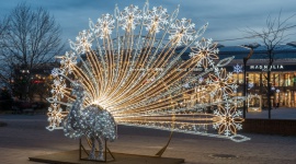 Magnolia Park rozbłyśnie 230 tysiącami świateł Zakupy, LIFESTYLE - Największą atrakcją i hitem tegorocznej dekoracji będzie leśny plac zabaw. W tej zimowej krainie życie toczy się wokół starego dębu. Dzieci spotkają tu białe niedźwiedzie, gadające drzewo i Świętego Mikołaja. Nową świąteczną iluminację w Magnolia Park można już podziwiać.